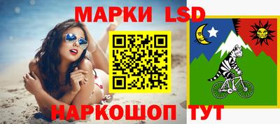 дмт Будённовск