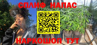 дмт Будённовск