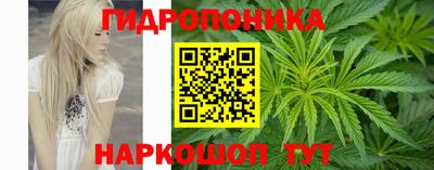 дмт Будённовск
