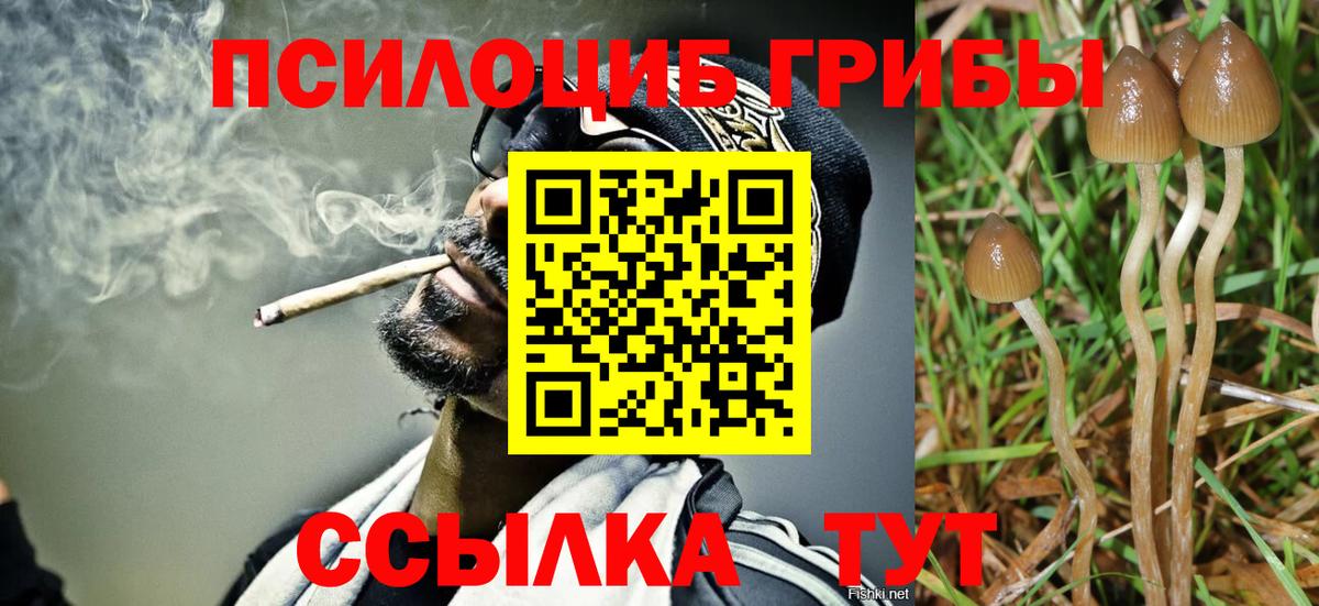 Кострома  Псилоцибиновые грибы MAGIC MUSHROOMS  Вход с VPN  Галлюциногенные грибы Psilocybine cubensis 