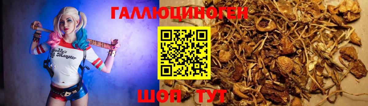 Псилоцибиновые грибы мухоморы Кострома